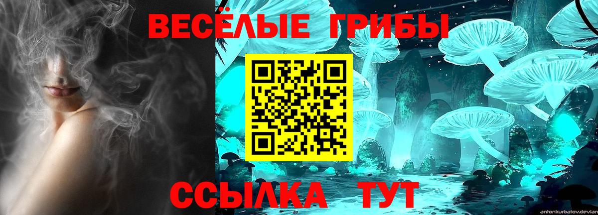 Галлюциногенные грибы Psilocybe  Вход с VPN  Азнакаево 